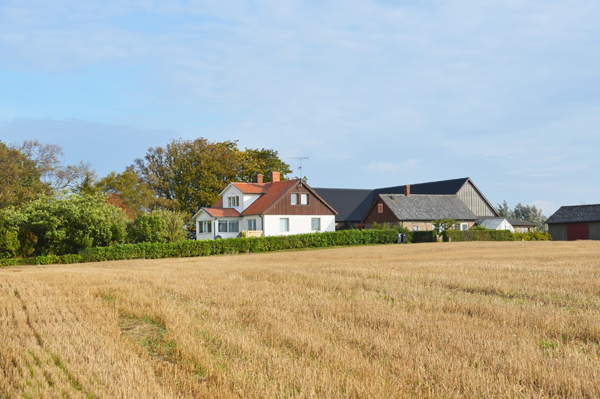 Olsgård